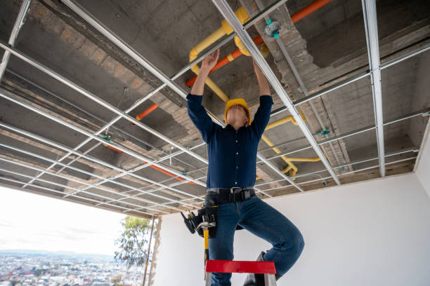 Best Local Plumber Services  in Frankfort, IN