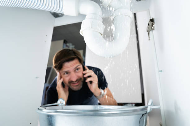Best Sprinkler Systems  in Frankfort, IN